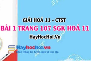 Giải bài 1 trang 107 Hoá 11 SGK Chân trời sáng tạo